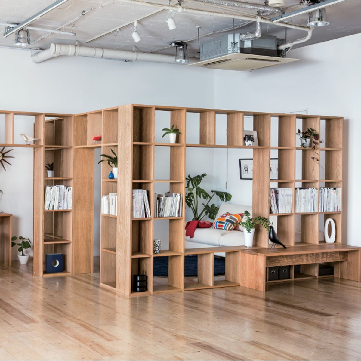 Muji — photo 4