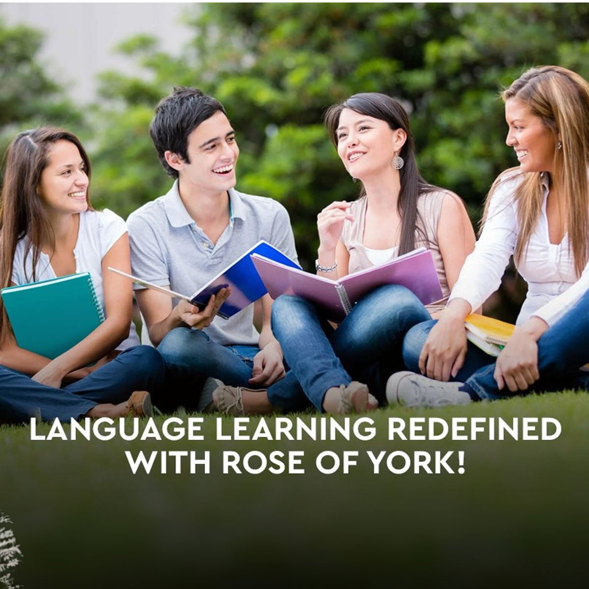 Rose of York — photo 1