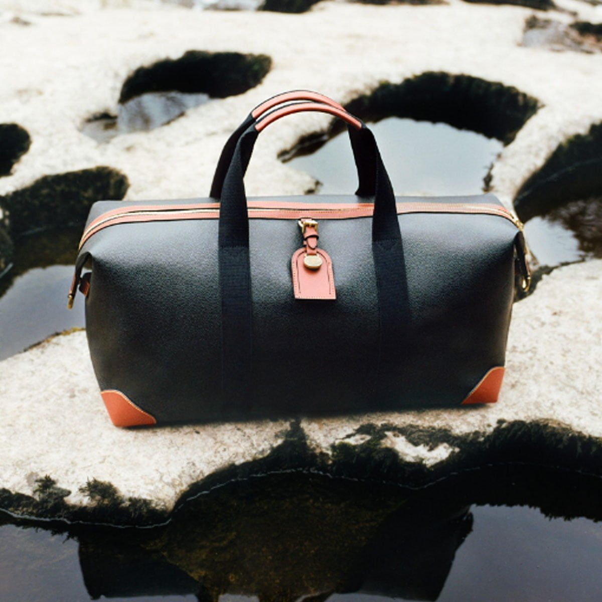 Mulberry