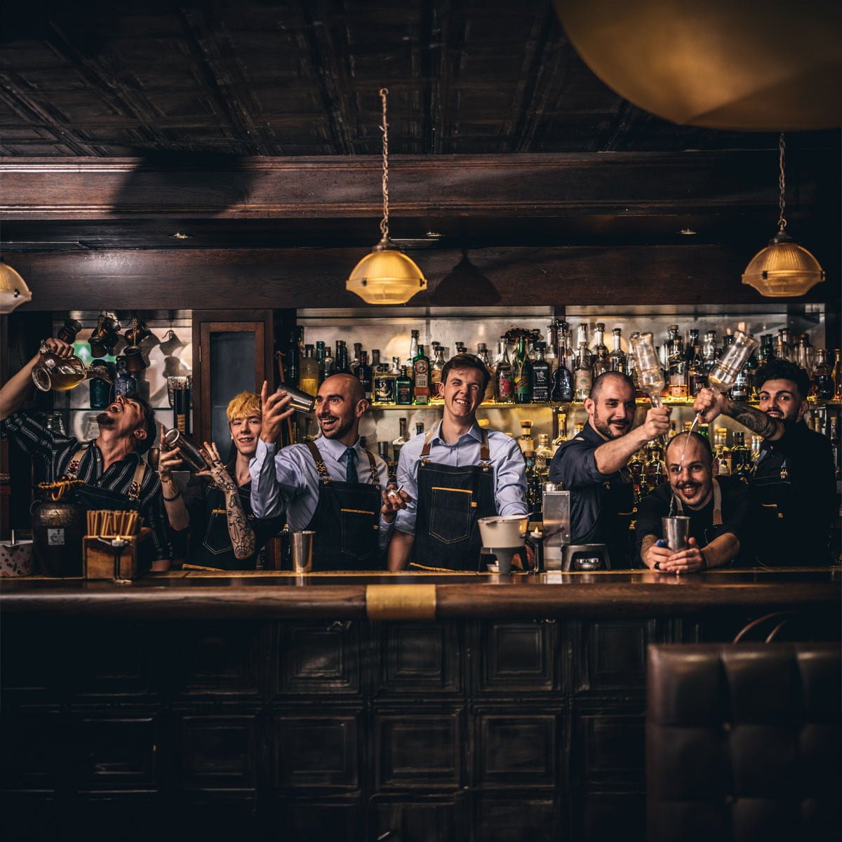 Nightjar Carnaby