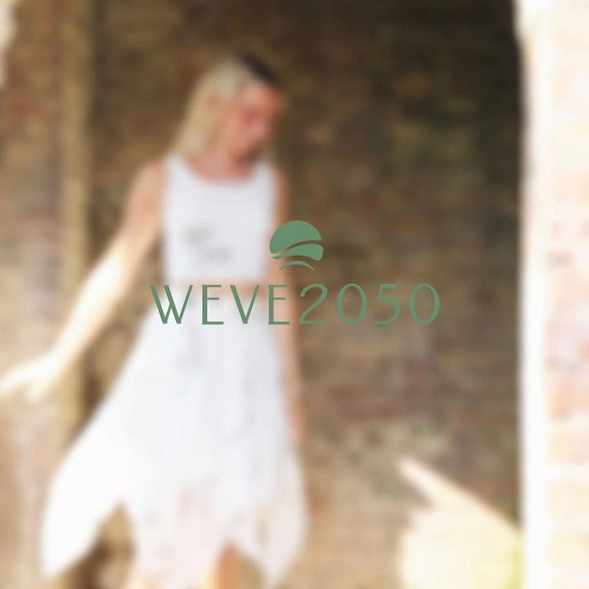 WEVE2050 