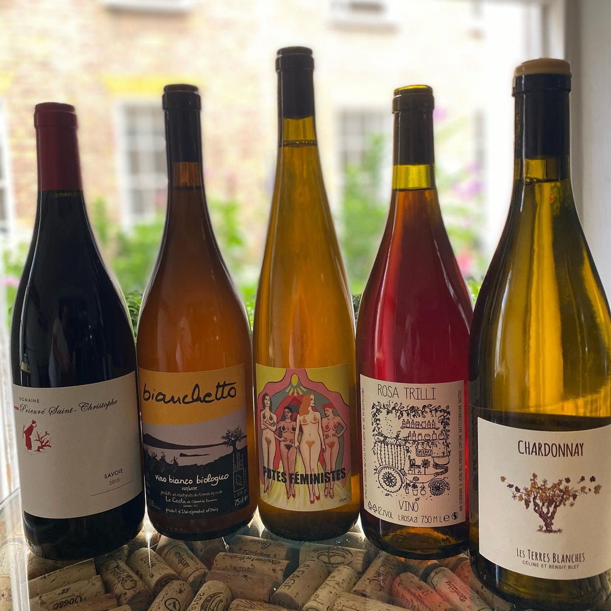 Antidote Wine Bar & Wine Shop — photo 2
