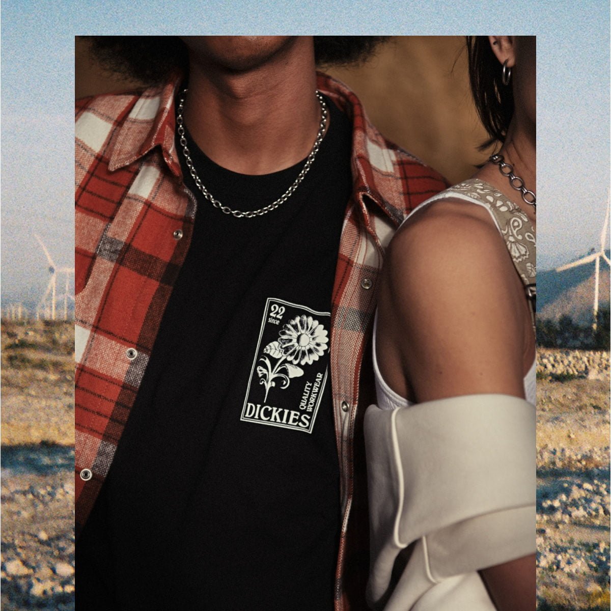 Dickies — photo 2