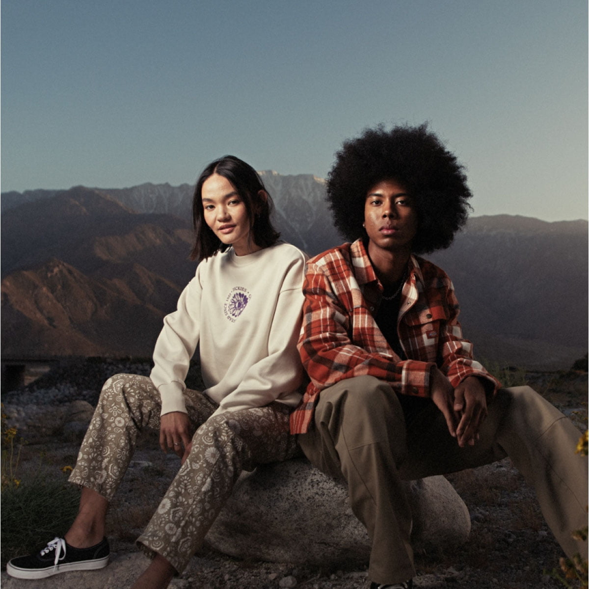 Dickies — photo 3