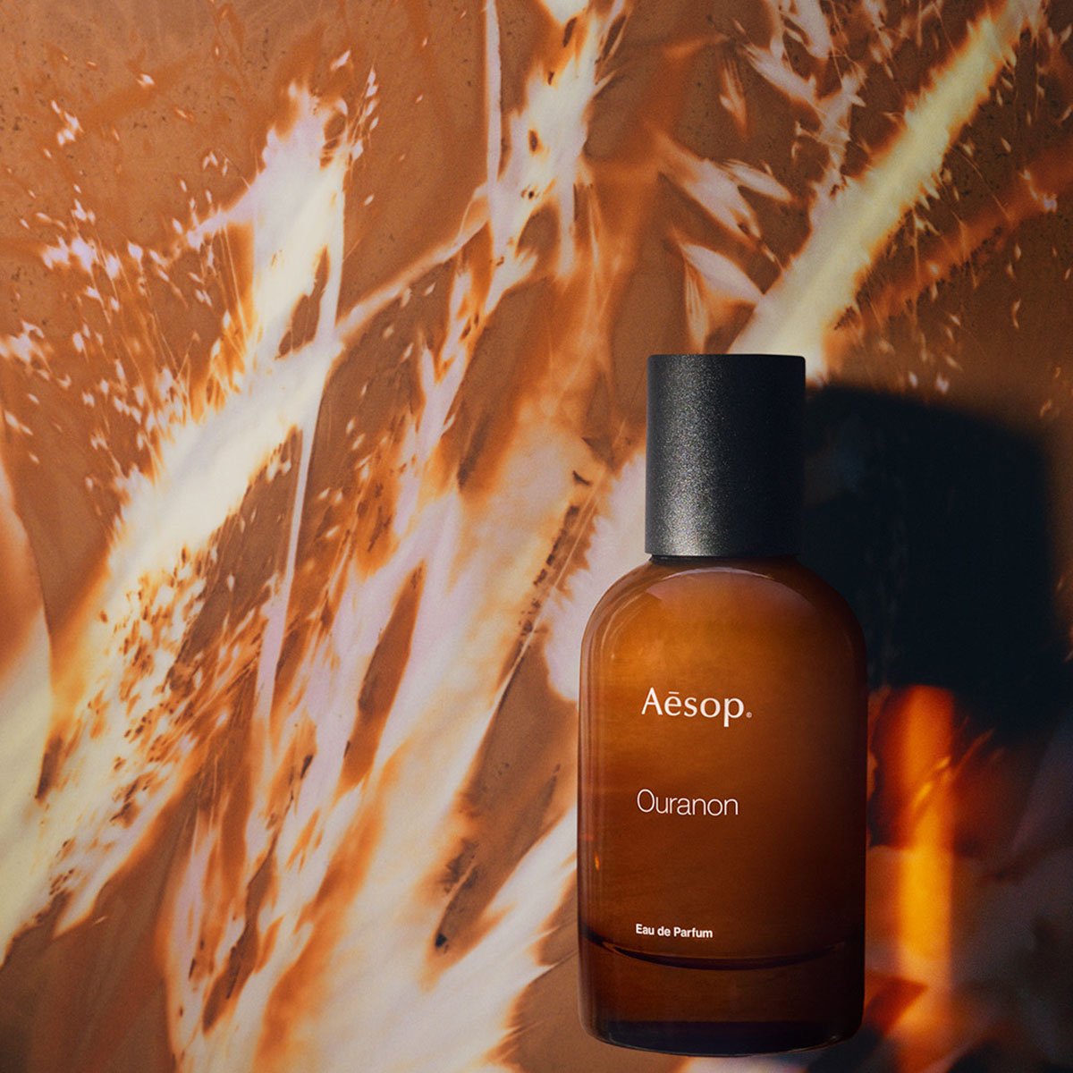 Aesop — photo 3