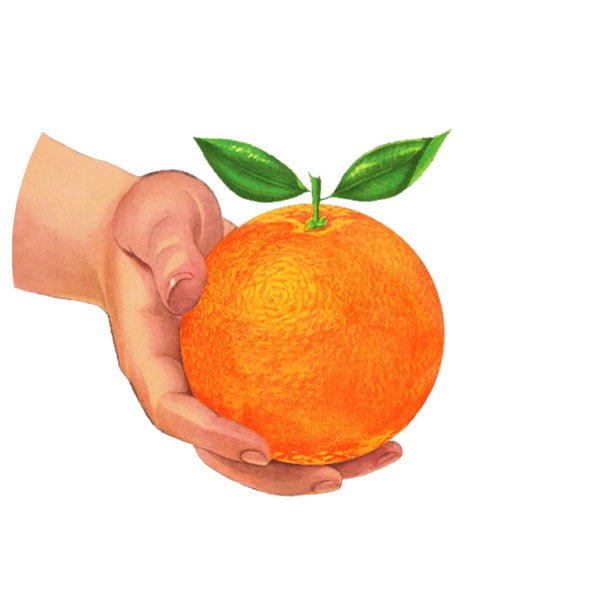 LEON logo