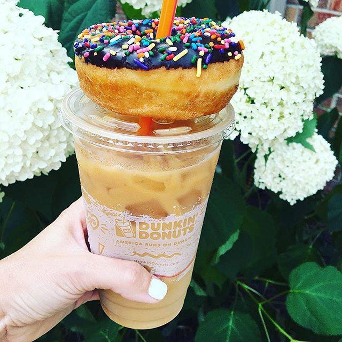 Dunkin’ Donuts — photo 3