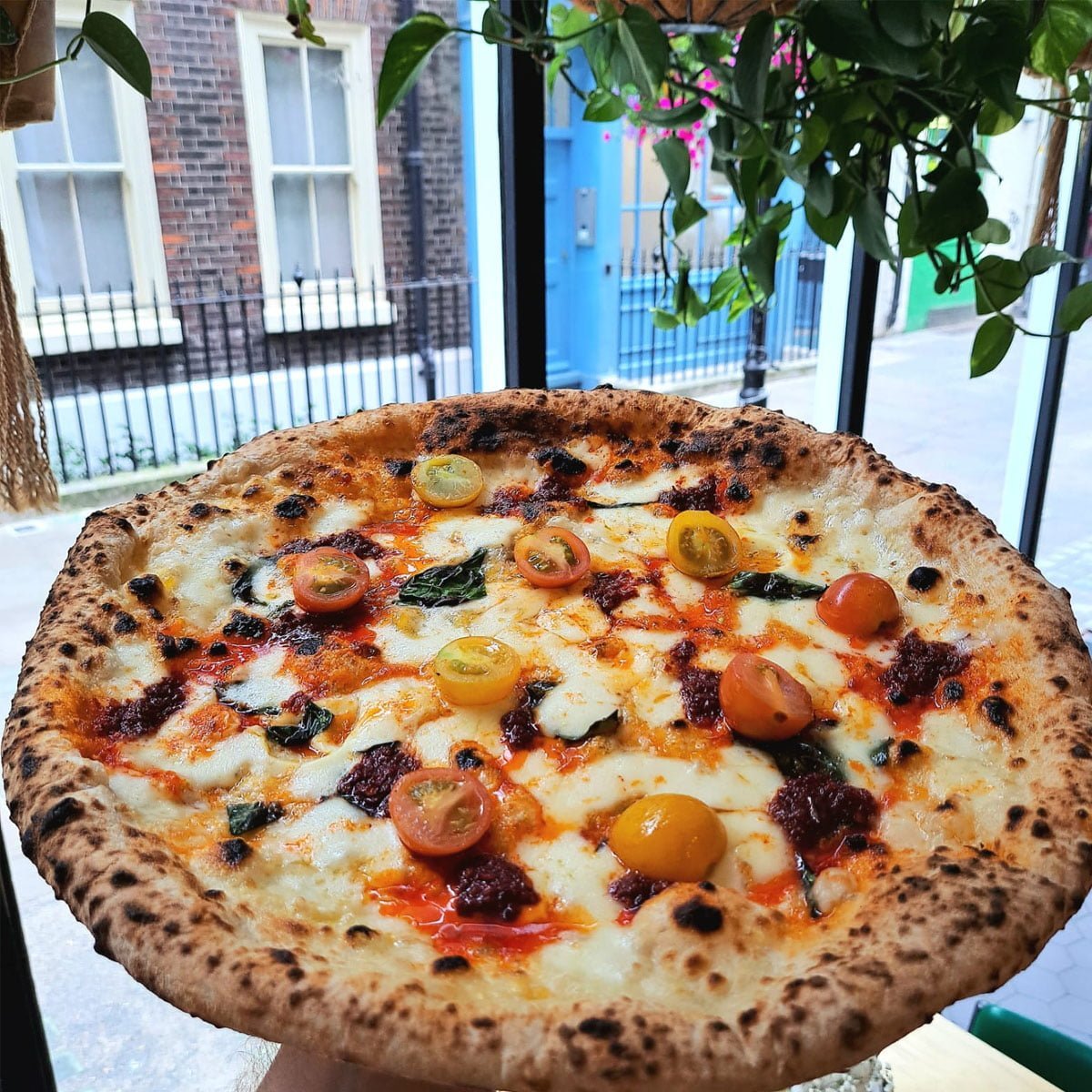 Rudy's Pizza Napoletana — photo 3