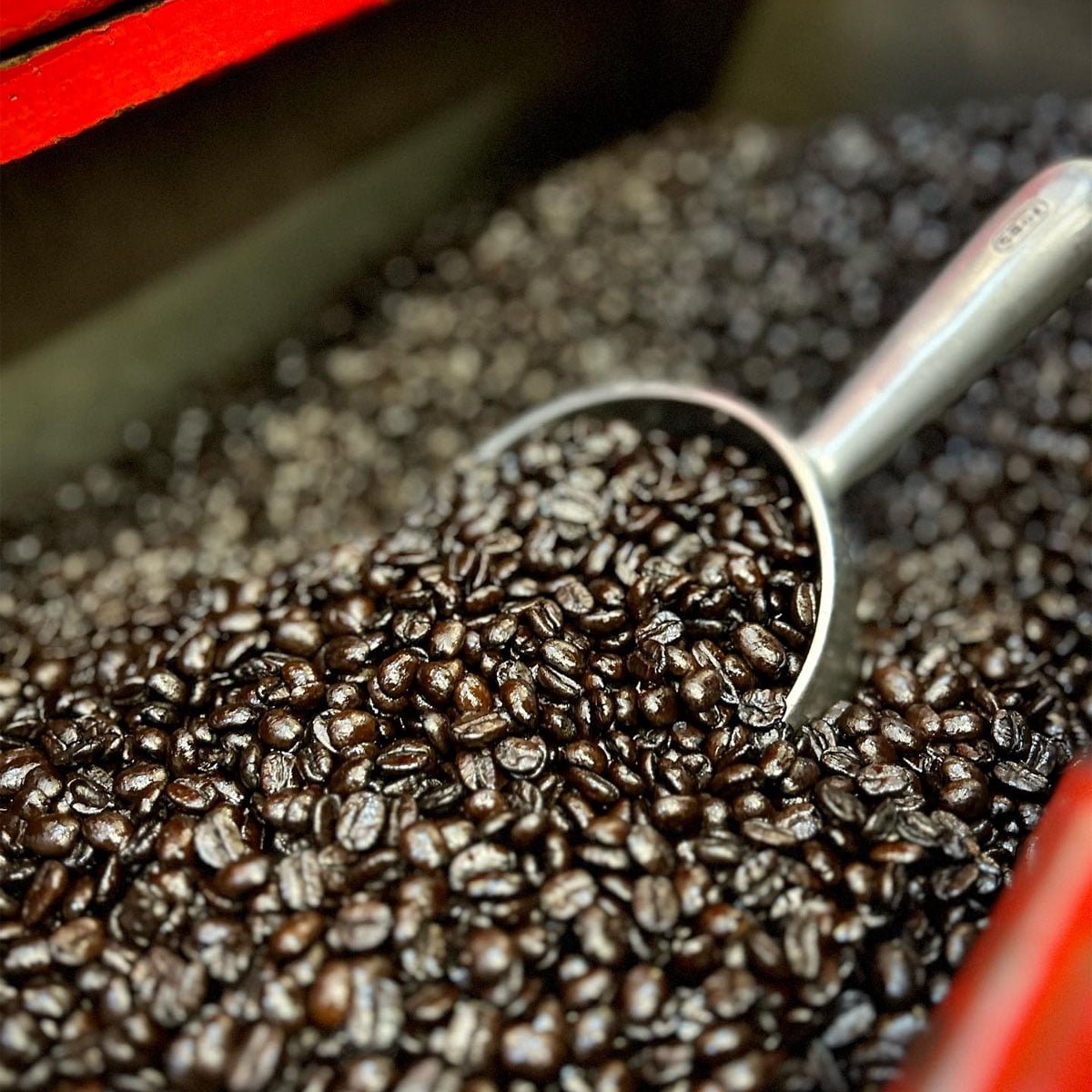 Algerian Coffee — photo 4