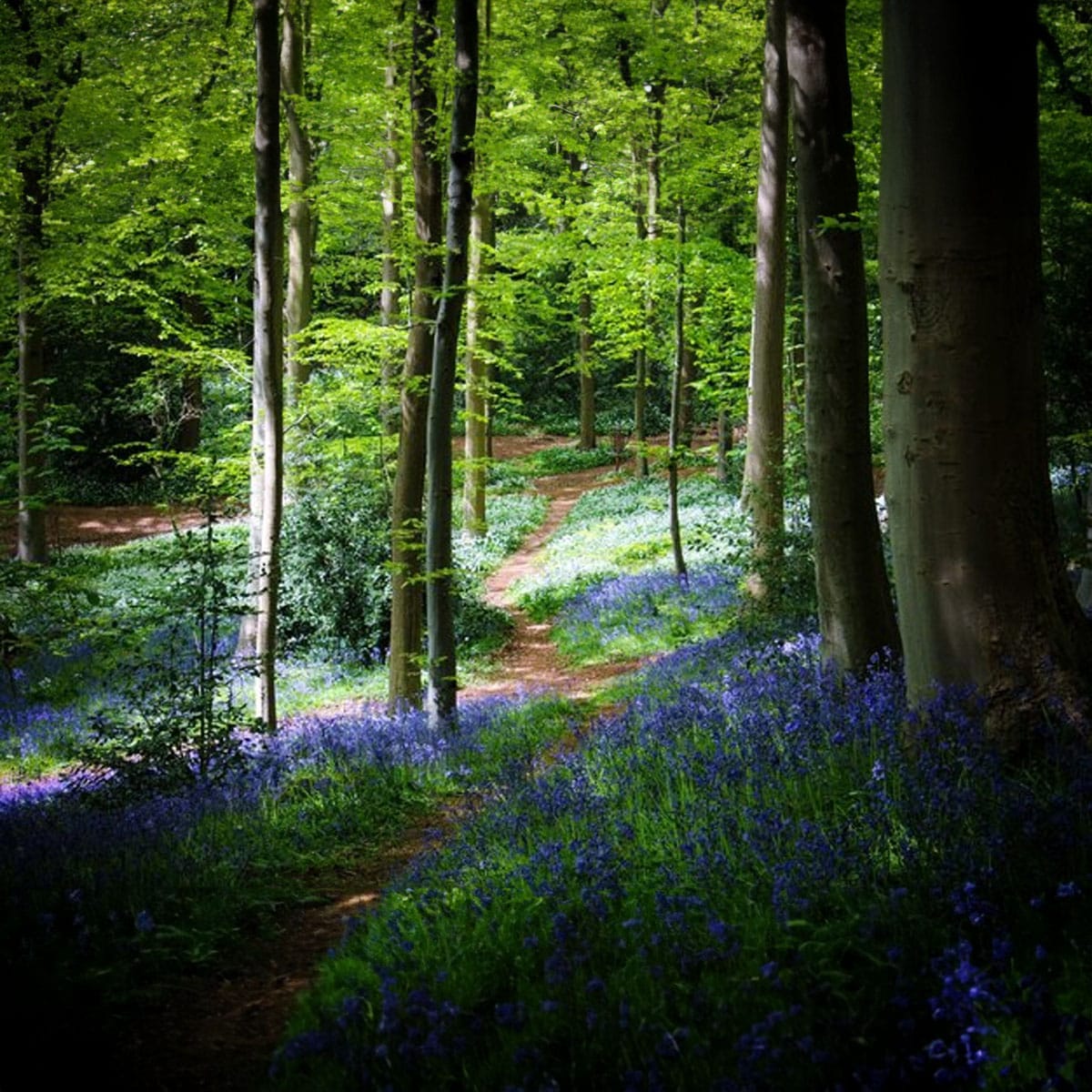 Insta-Worthy Escapes: Day Trips from London for Stunning Photos