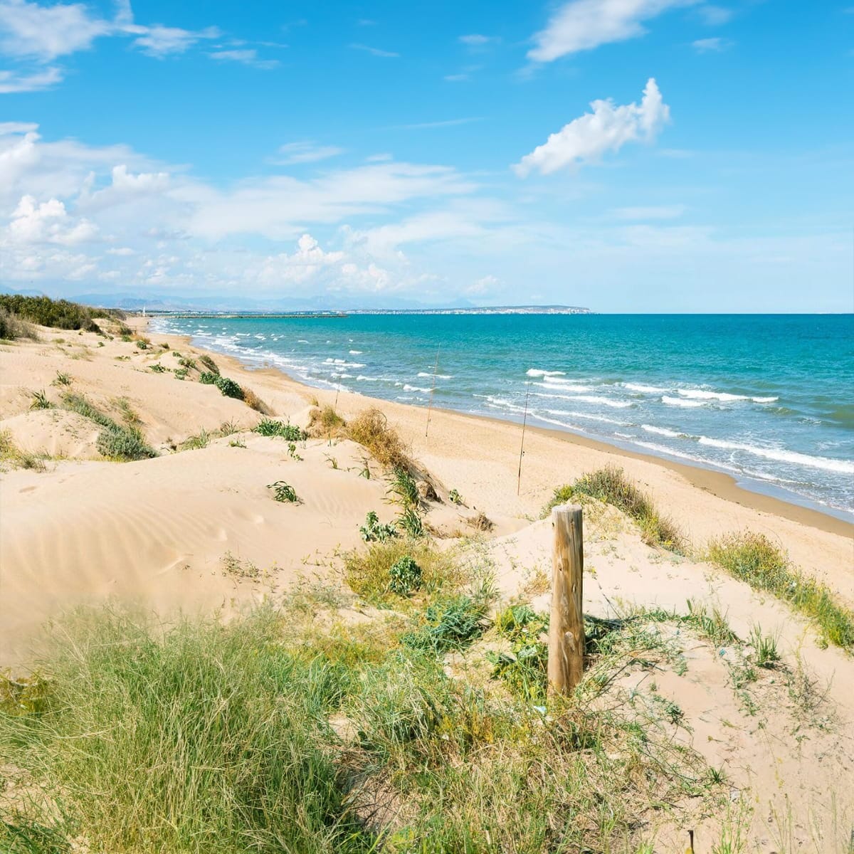 Coastal dunes scenery Golden sand dunes and Mediterranean beach landscape in Costa Blanca region