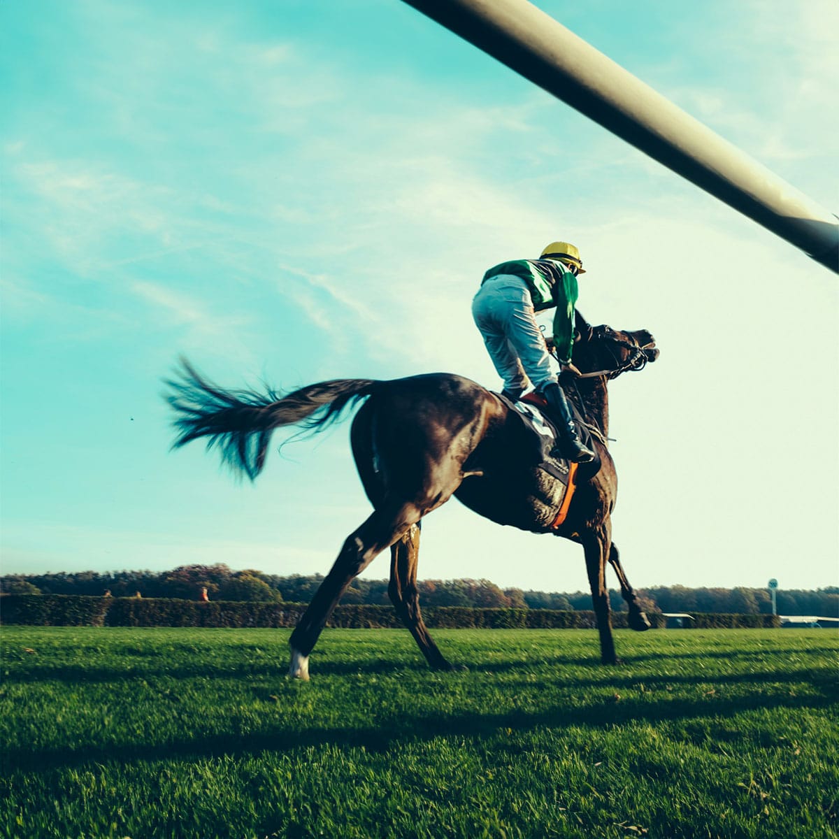 Best Horse Racing Events To Check Out Near London