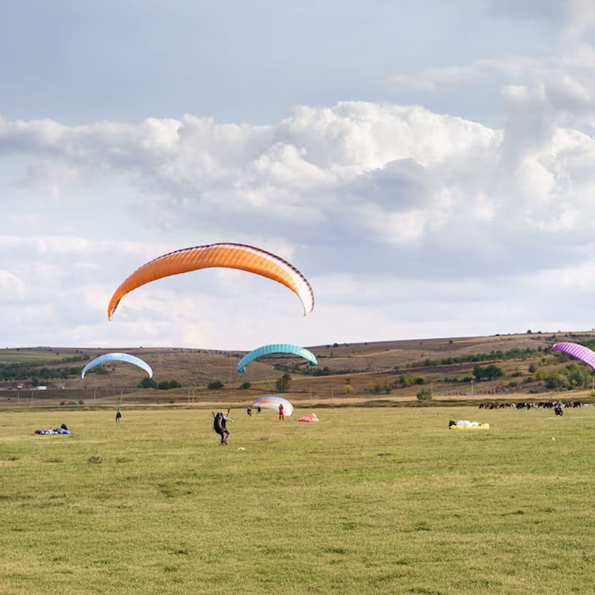 paragliding Tenerife adventure