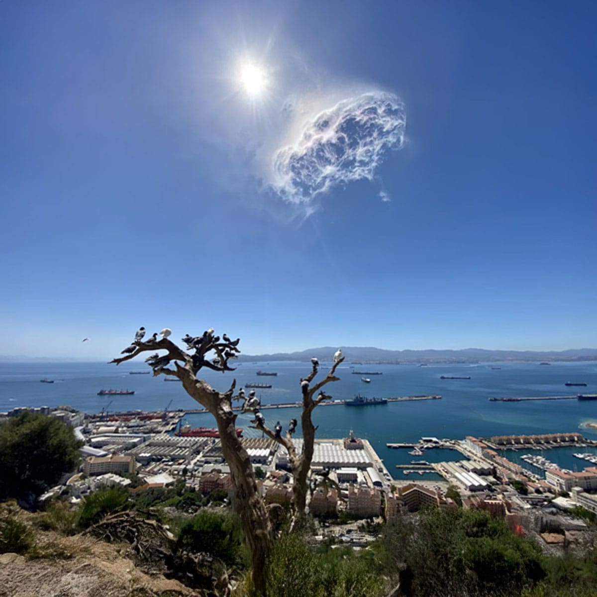 Gibraltar Residency: Why Gibraltar is Fighting To Change Border Control Rules Post-Brexit