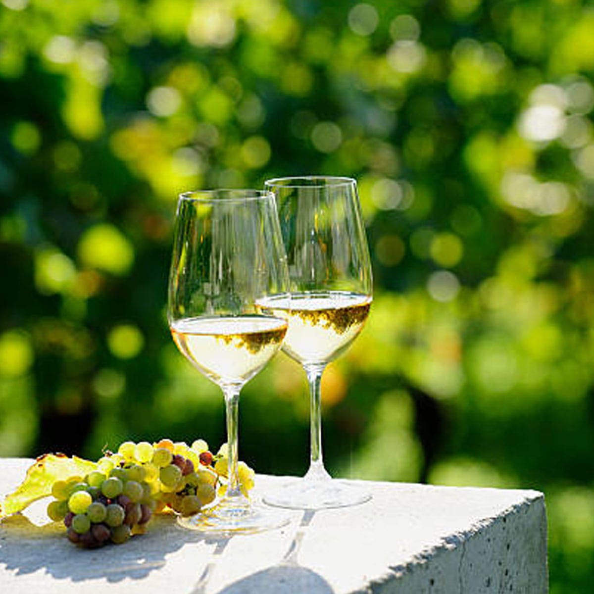 Best Natural White Wines That Express Place and Precision