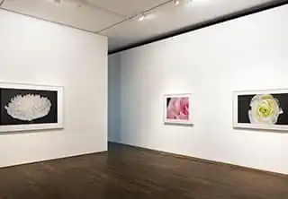 Art Galleries