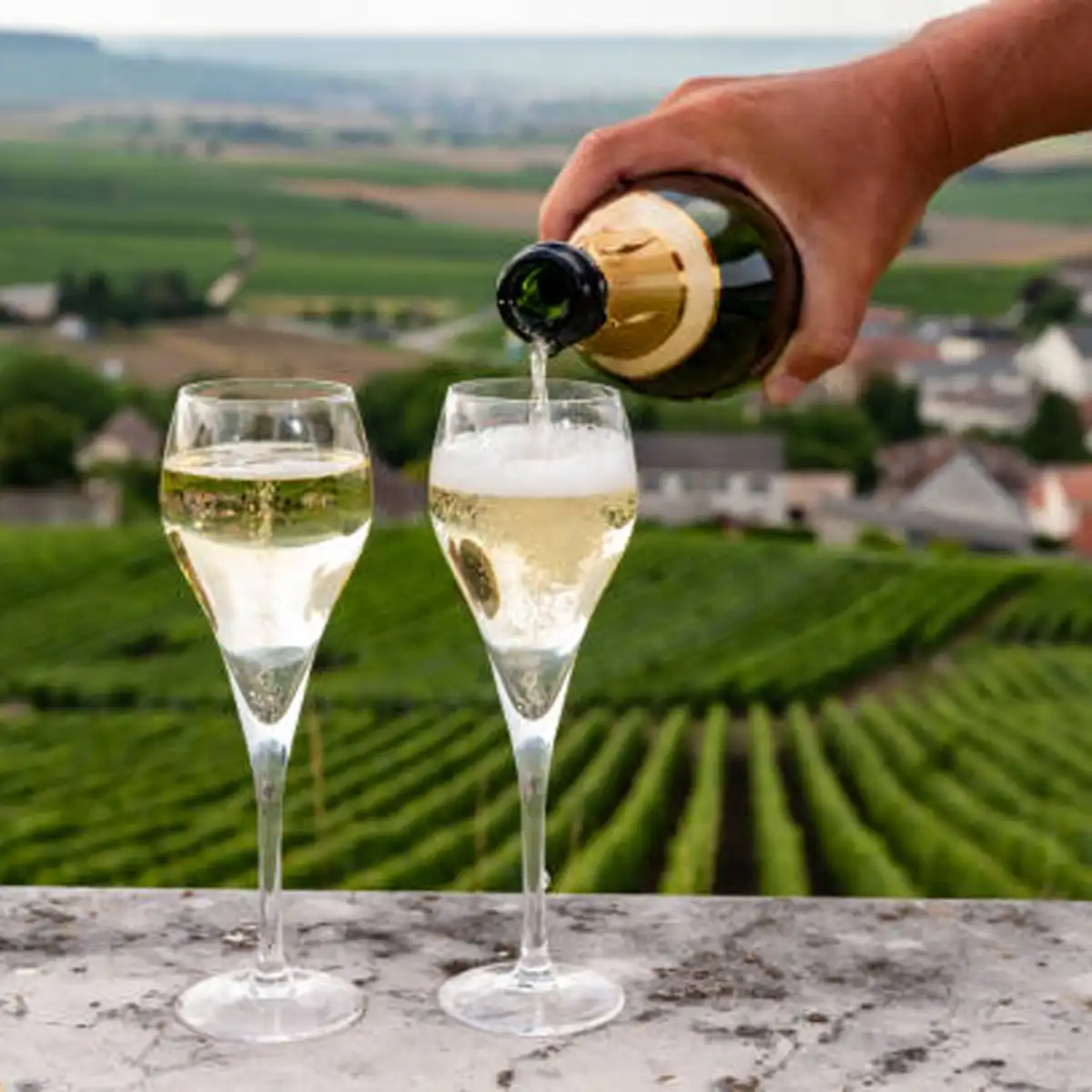 English sparkling wine bottle displaying traditional method production craftsmanship and complexity