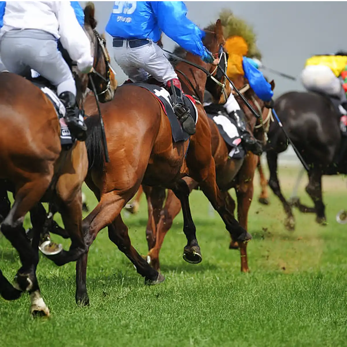 Sandown's modern facilities Sandown Park racecourse grandstand and facilities showcasing accessible venue design