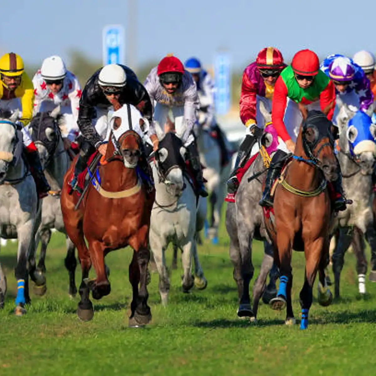 Kempton's Christmas celebrations Kempton Park racecourse decorated for its festive Christmas racing festival