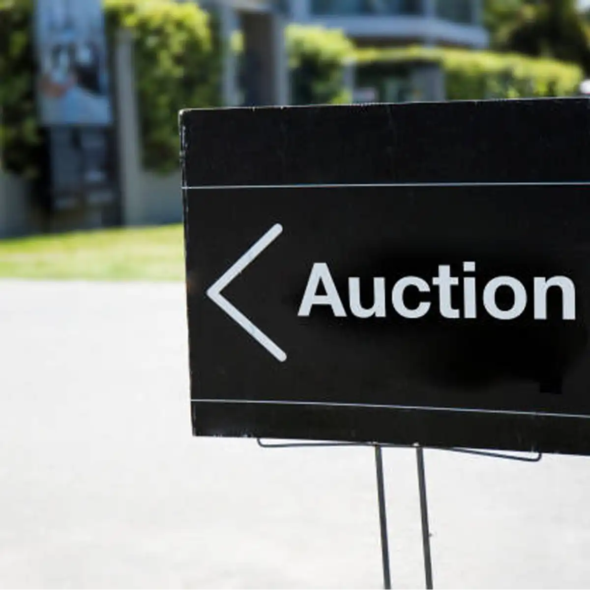 Competitive auction bidding Auction house interior showing bidders competing for items with raised paddles