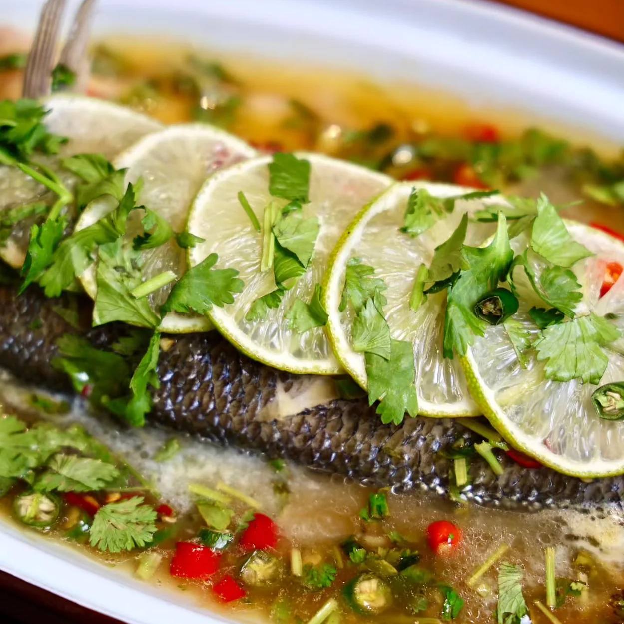 Steamed seabass dressed with lime, chilli and coriander at Yiqi in Chinatown